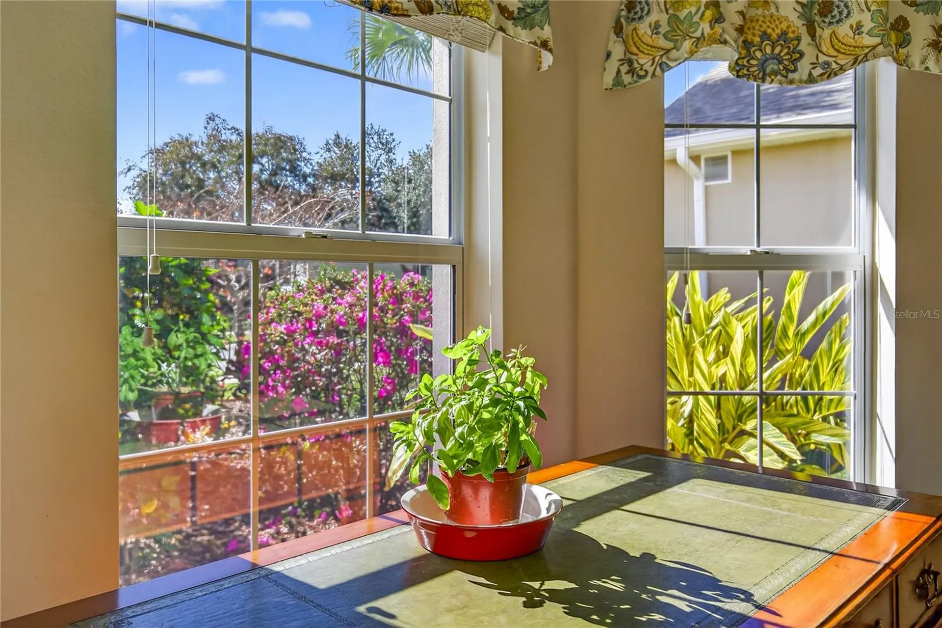 3003 New Haven Place Mount Dora FL 32757