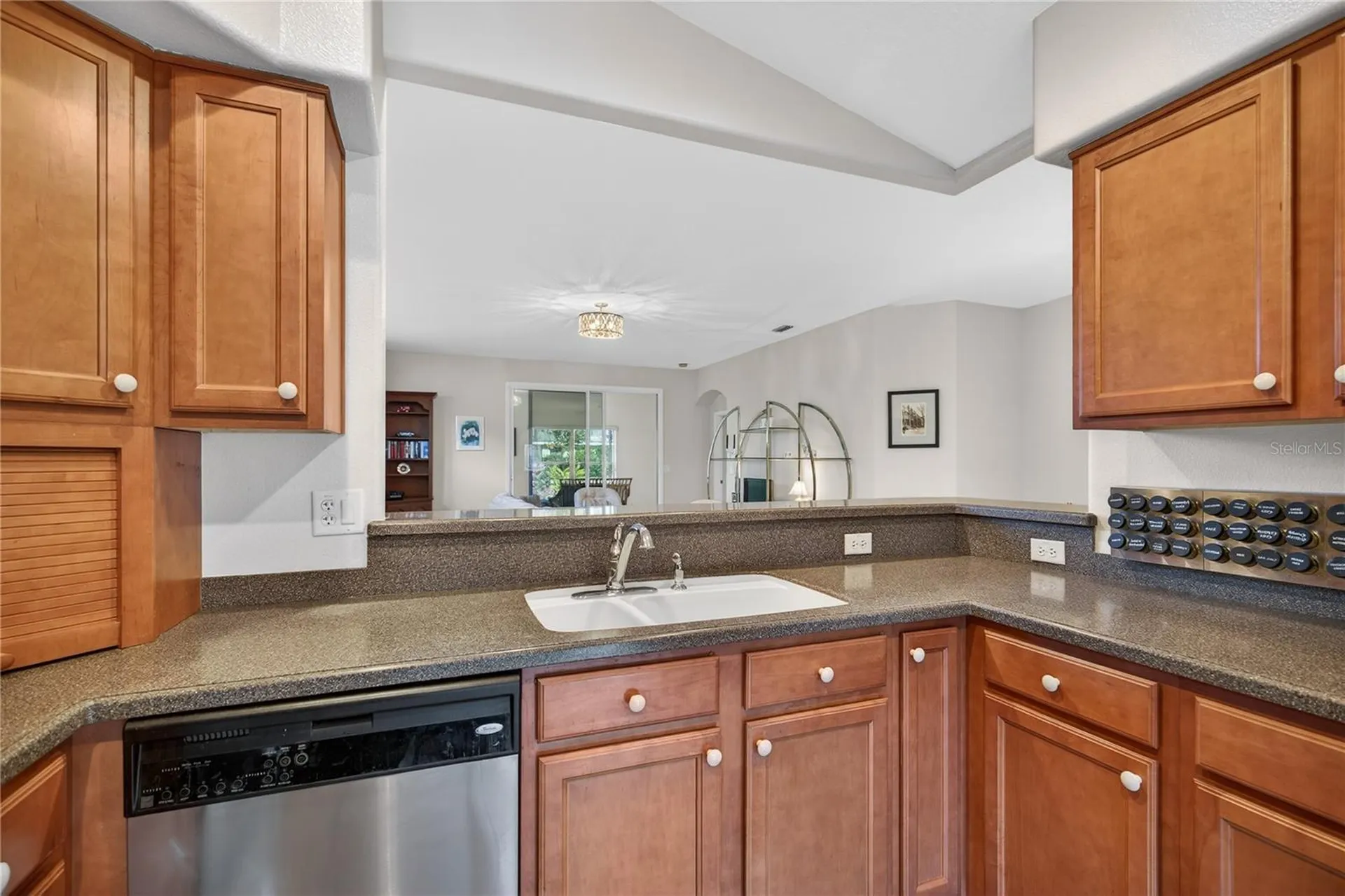 3003 New Haven Place Mount Dora FL 32757