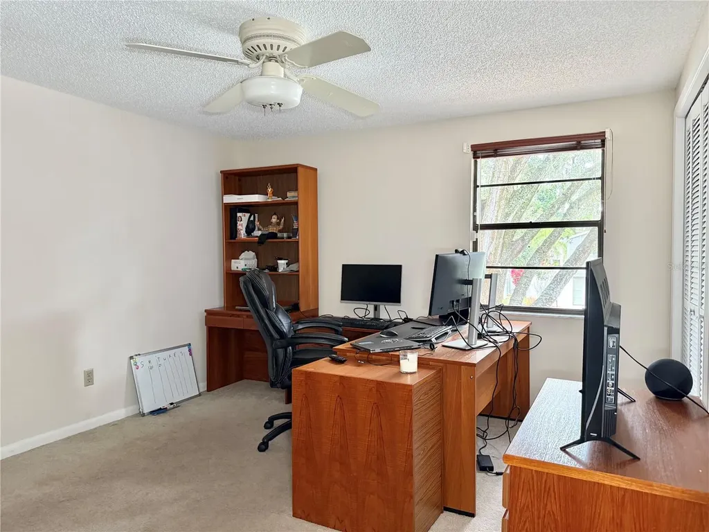 6101 Soaring Avenue Temple Terrace FL 33617