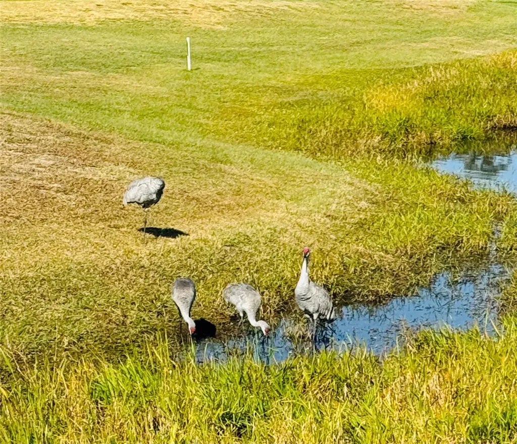 300 Royal Troon Loop Davenport FL 33837