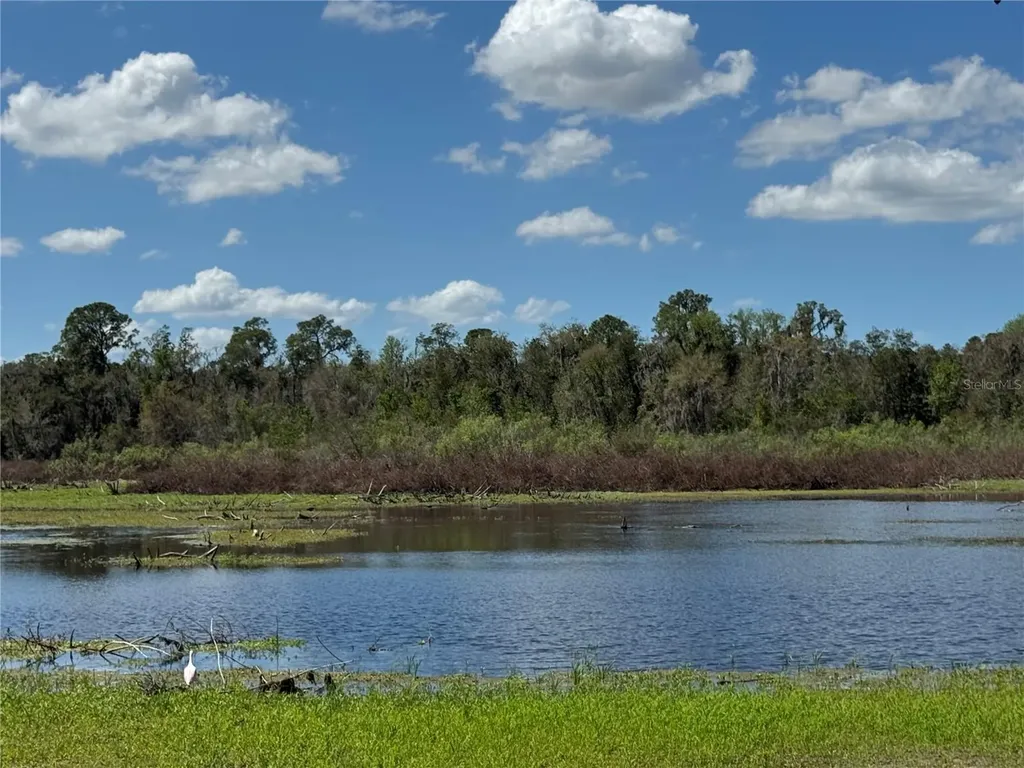 11325 Hidden Valley Lane Riverview FL 33569