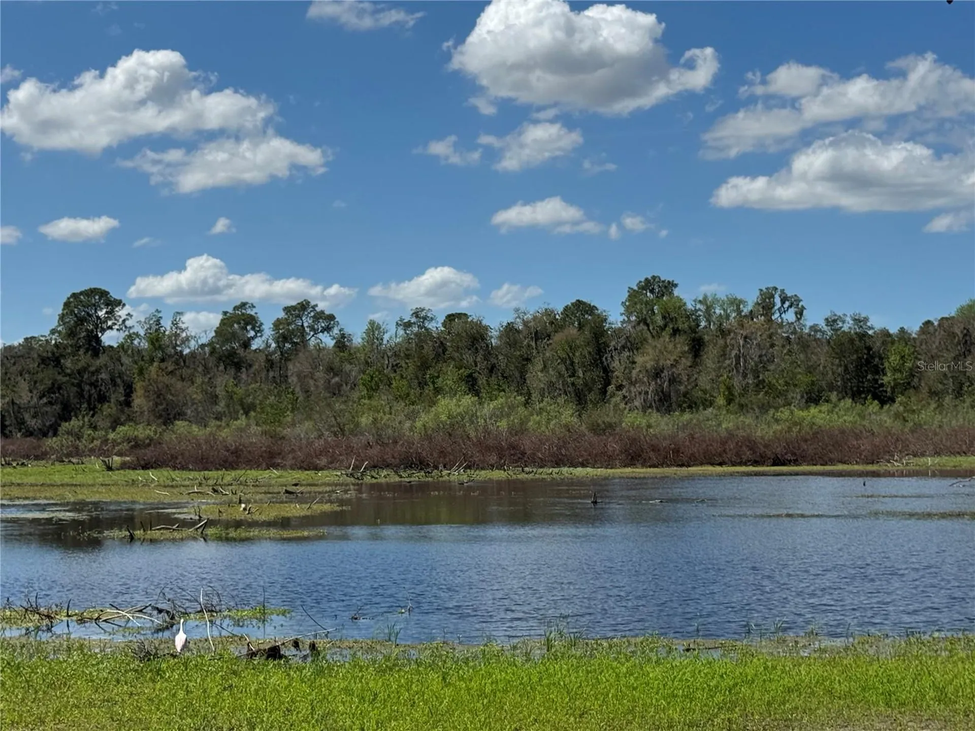 11325 Hidden Valley Lane Riverview FL 33569