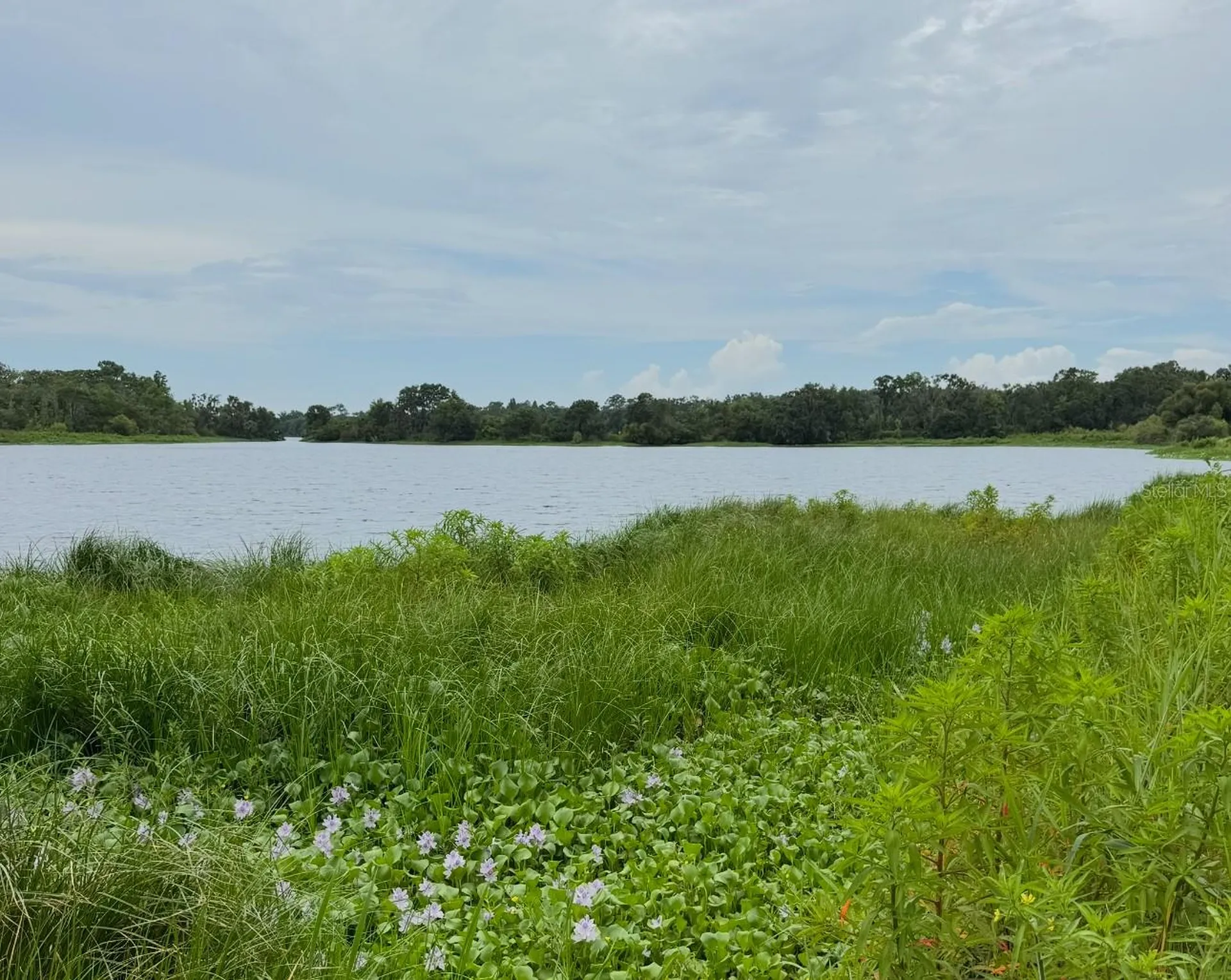 11325 Hidden Valley Lane Riverview FL 33569