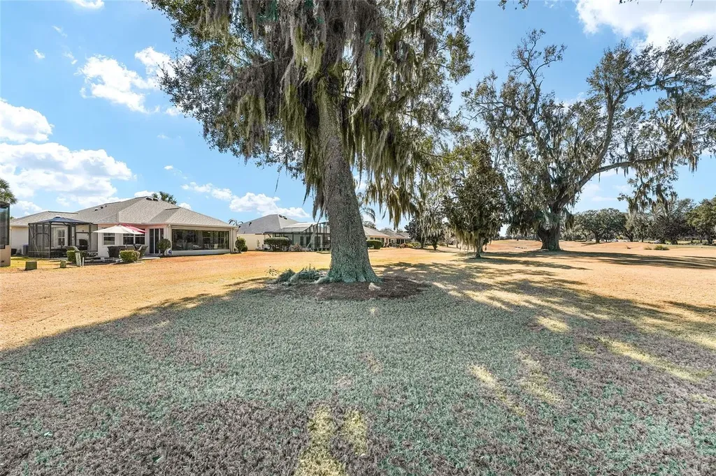 1374 Patrick Place The Villages FL 32162