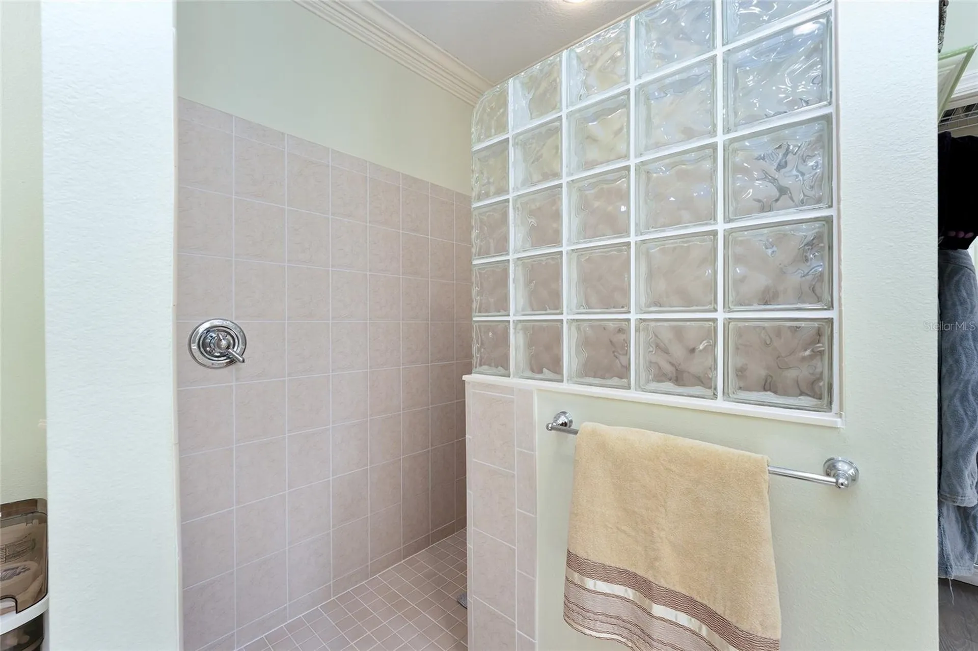 1374 Patrick Place The Villages FL 32162