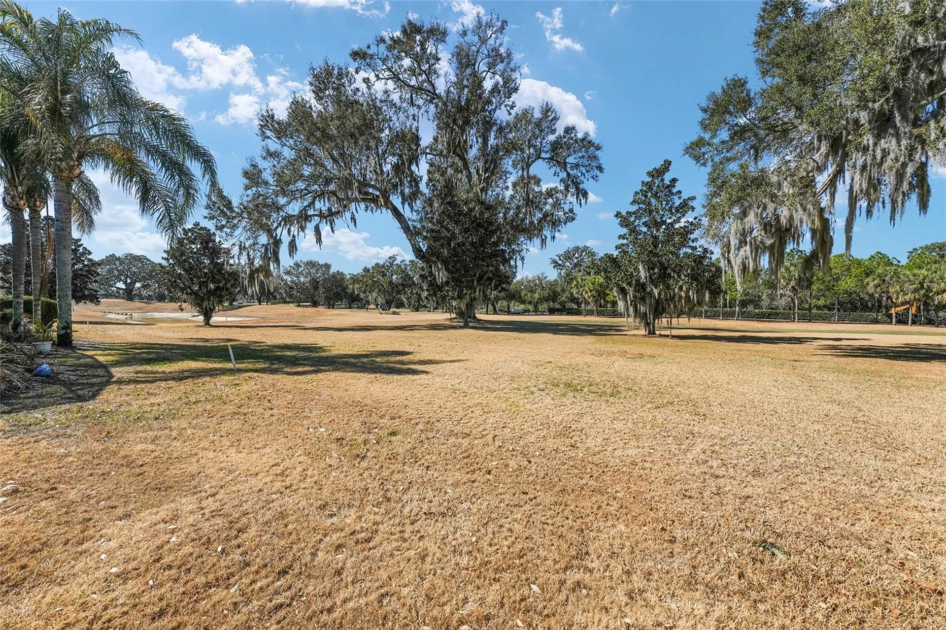 1374 Patrick Place The Villages FL 32162