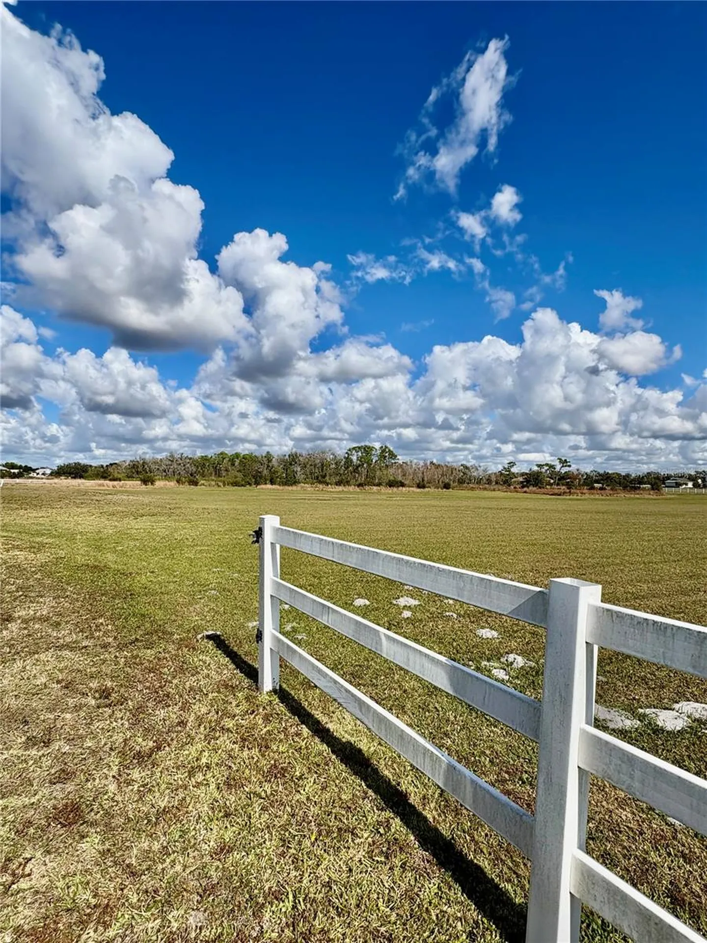 Singletary Road Sarasota FL 34240