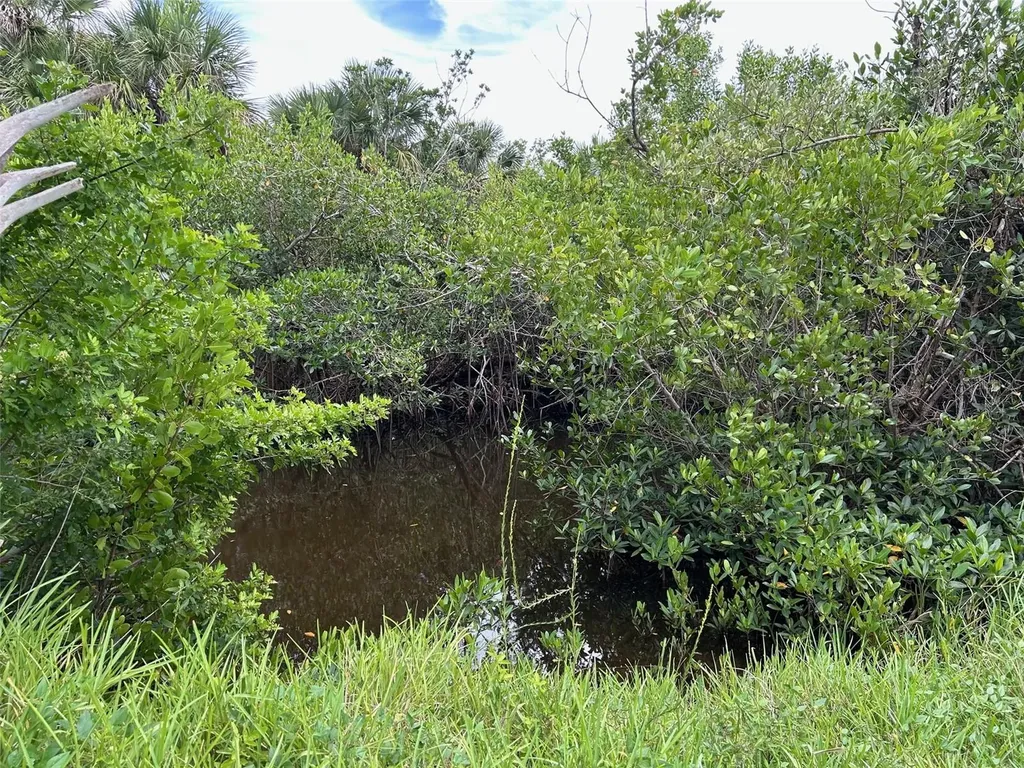 17534 Cuillagan Court Punta Gorda FL 33955