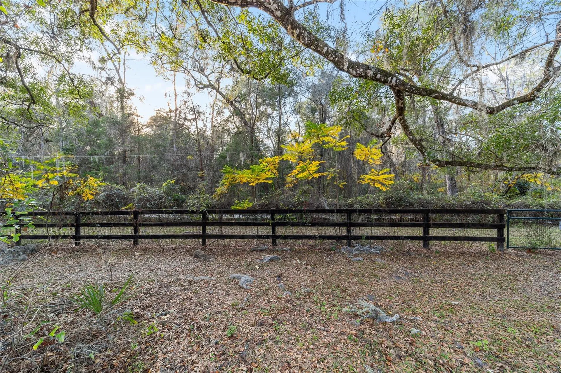 9080 SW 19th Avenue Road Ocala FL 34476