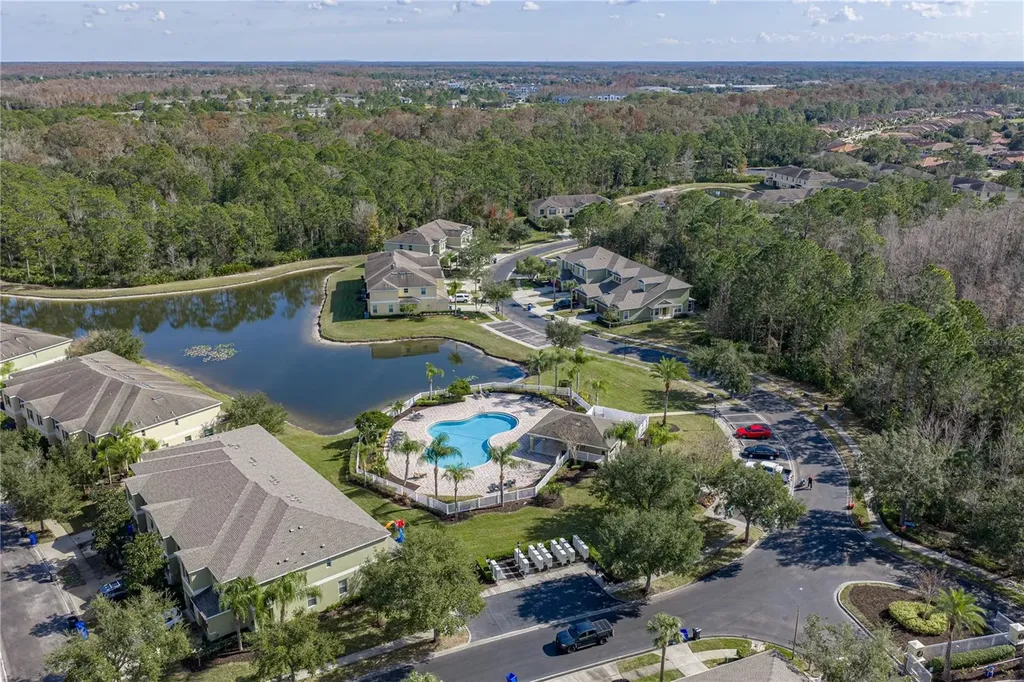 8527 Brushleaf Way Tampa FL 33647