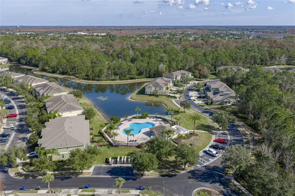 8527 Brushleaf Way Tampa FL 33647