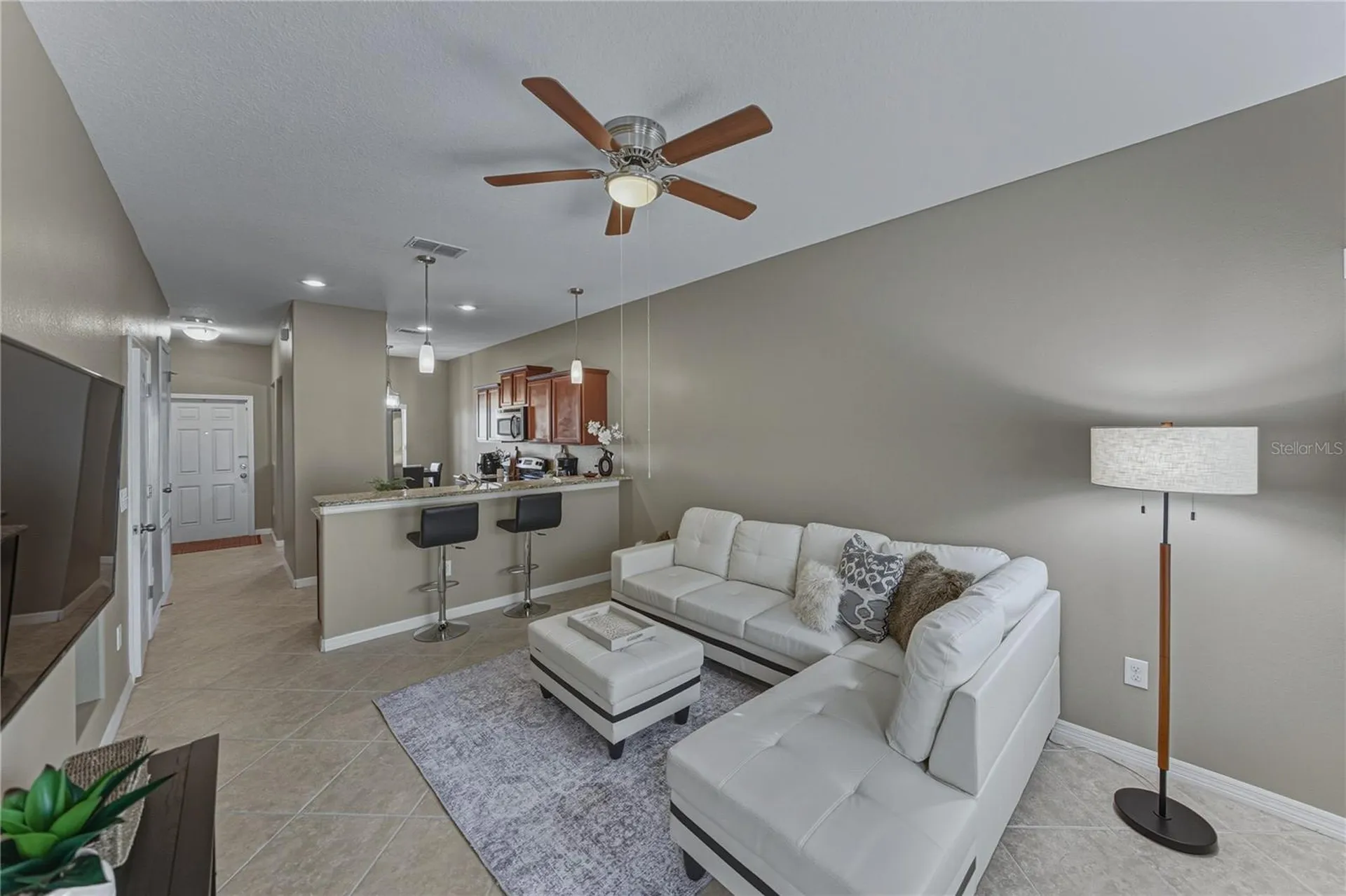 8527 Brushleaf Way Tampa FL 33647