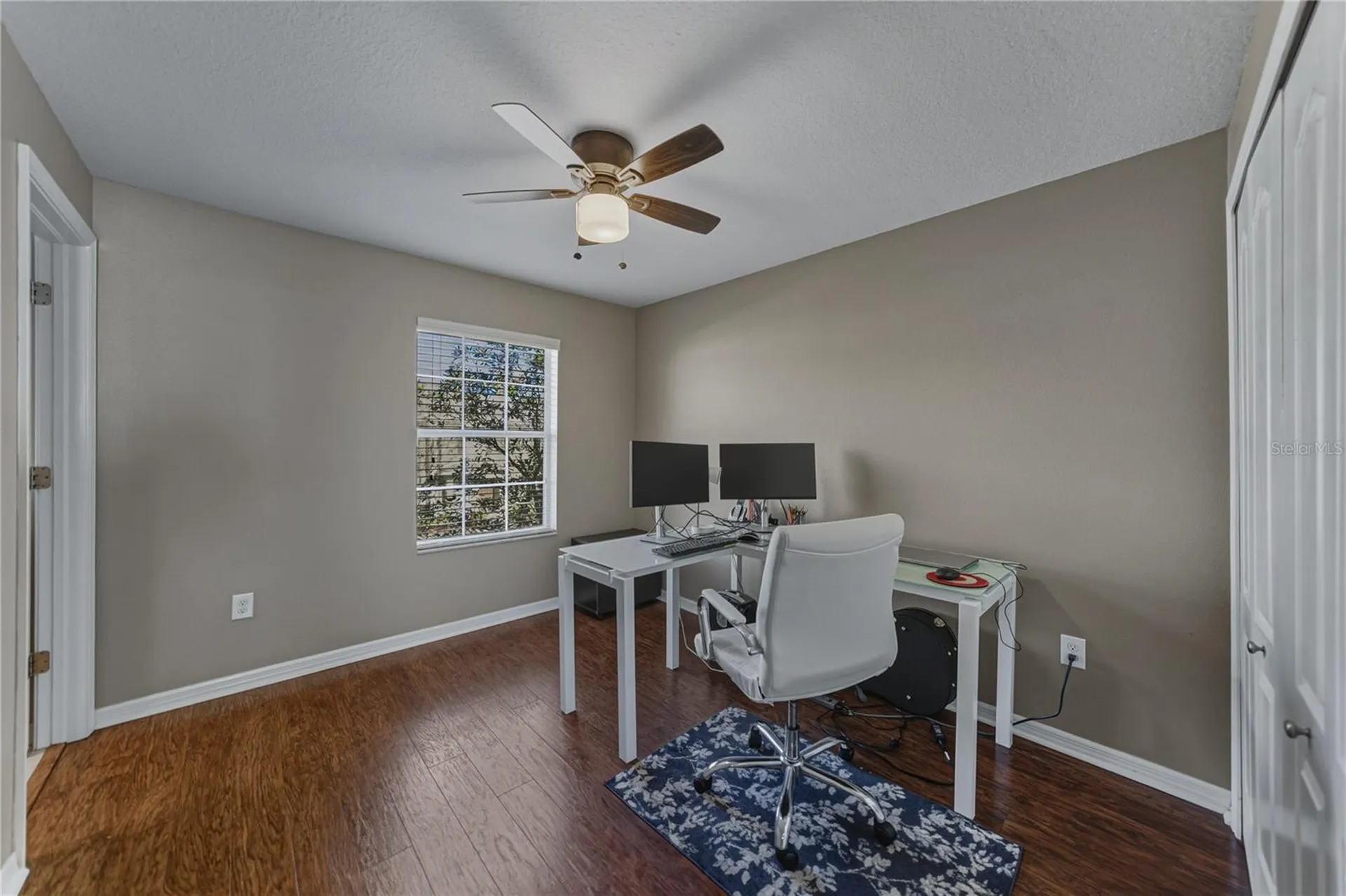 8527 Brushleaf Way Tampa FL 33647