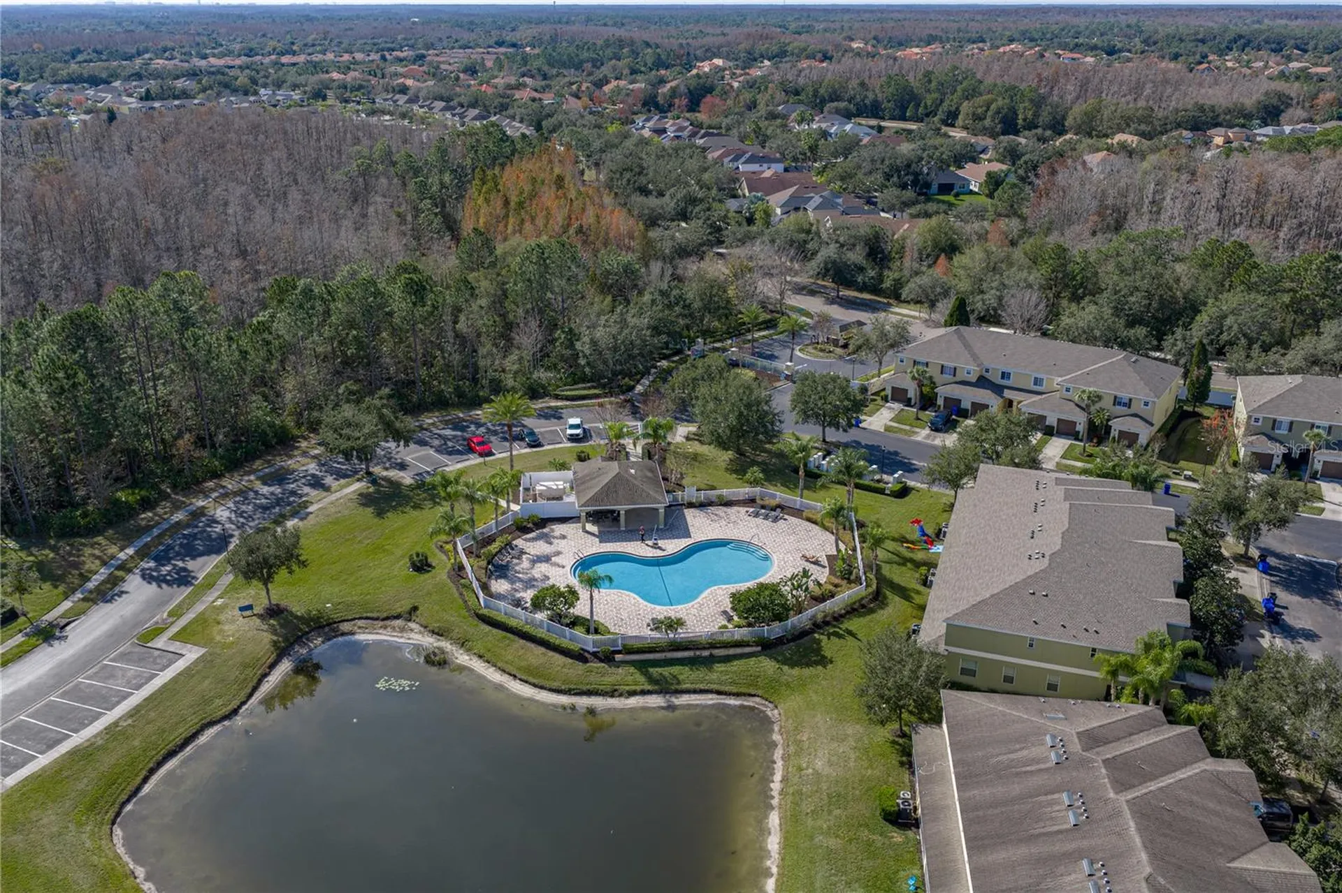 8527 Brushleaf Way Tampa FL 33647