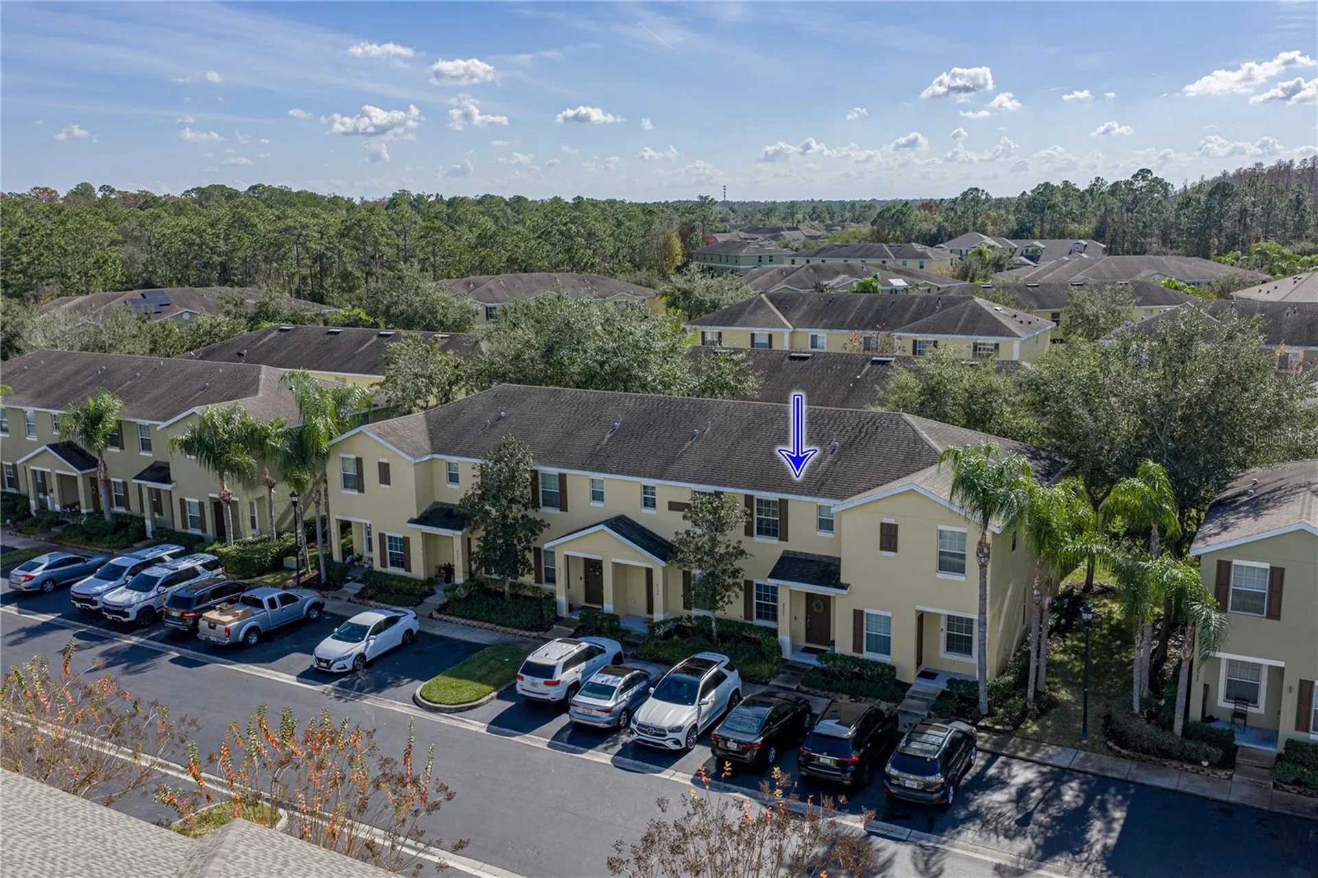 8527 Brushleaf Way Tampa FL 33647
