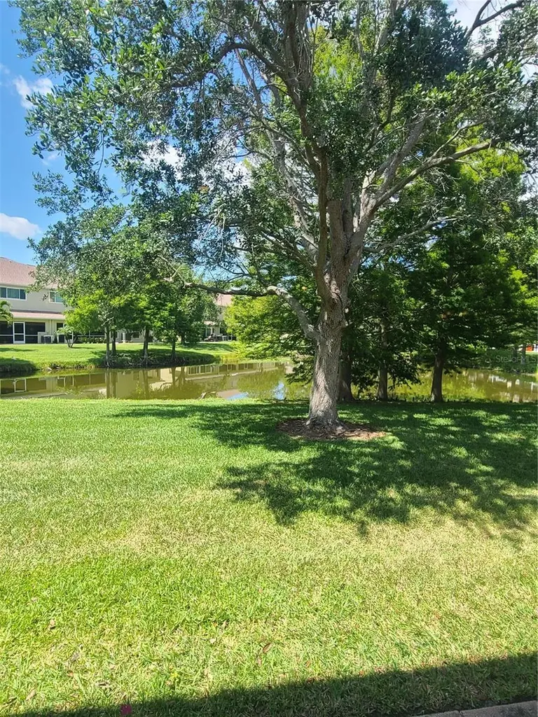 11117 Kapok Grand Circle Madeira Beach FL 33708