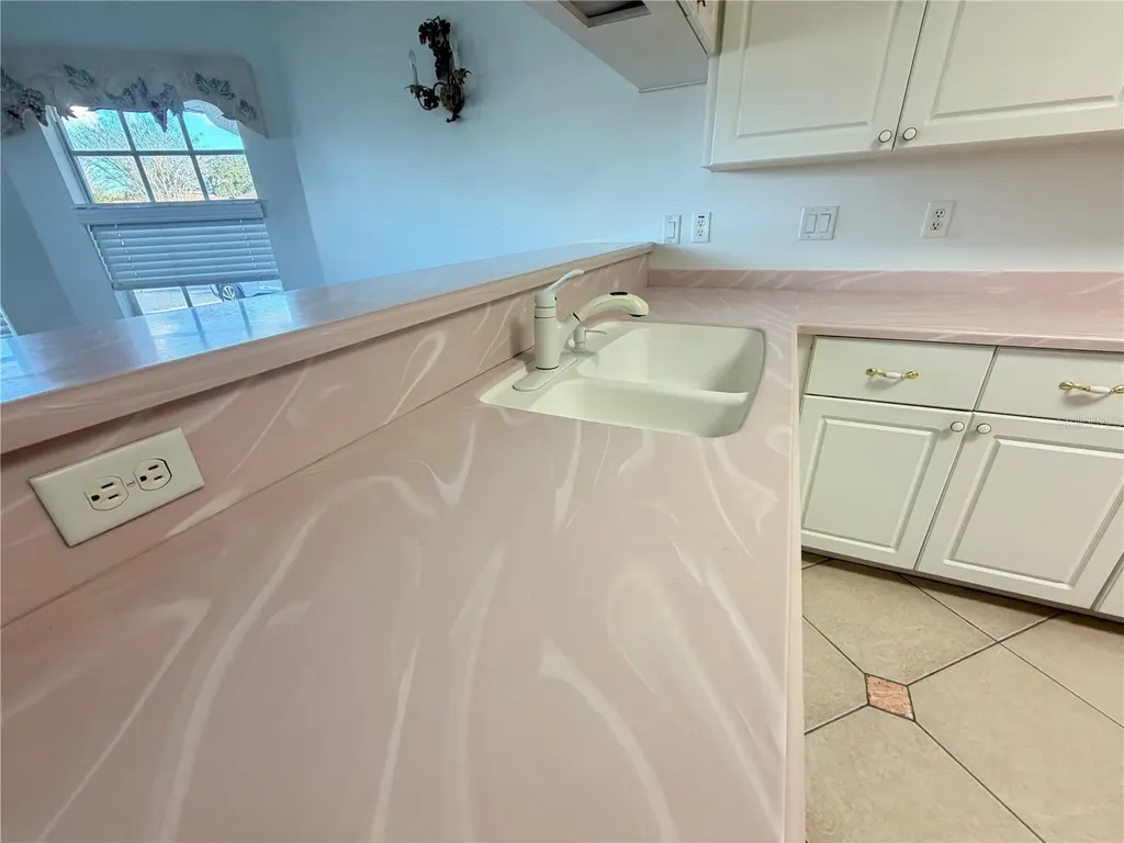 21623 Regency Park Lane Leesburg FL 34748