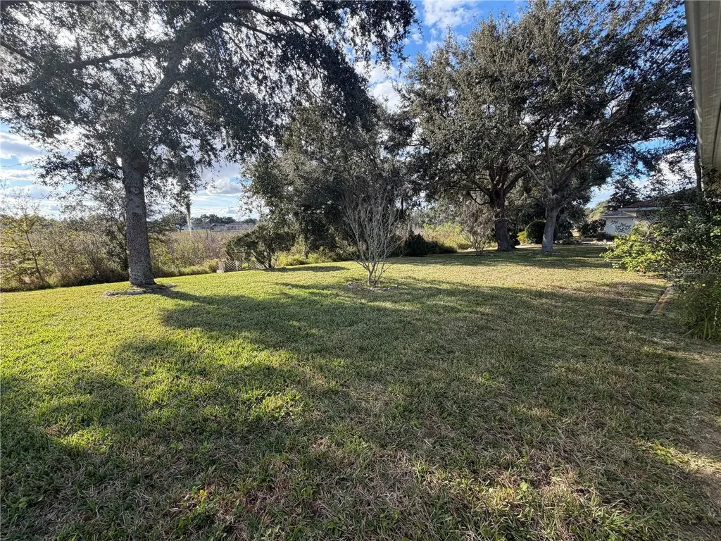 21623 Regency Park Lane Leesburg FL 34748