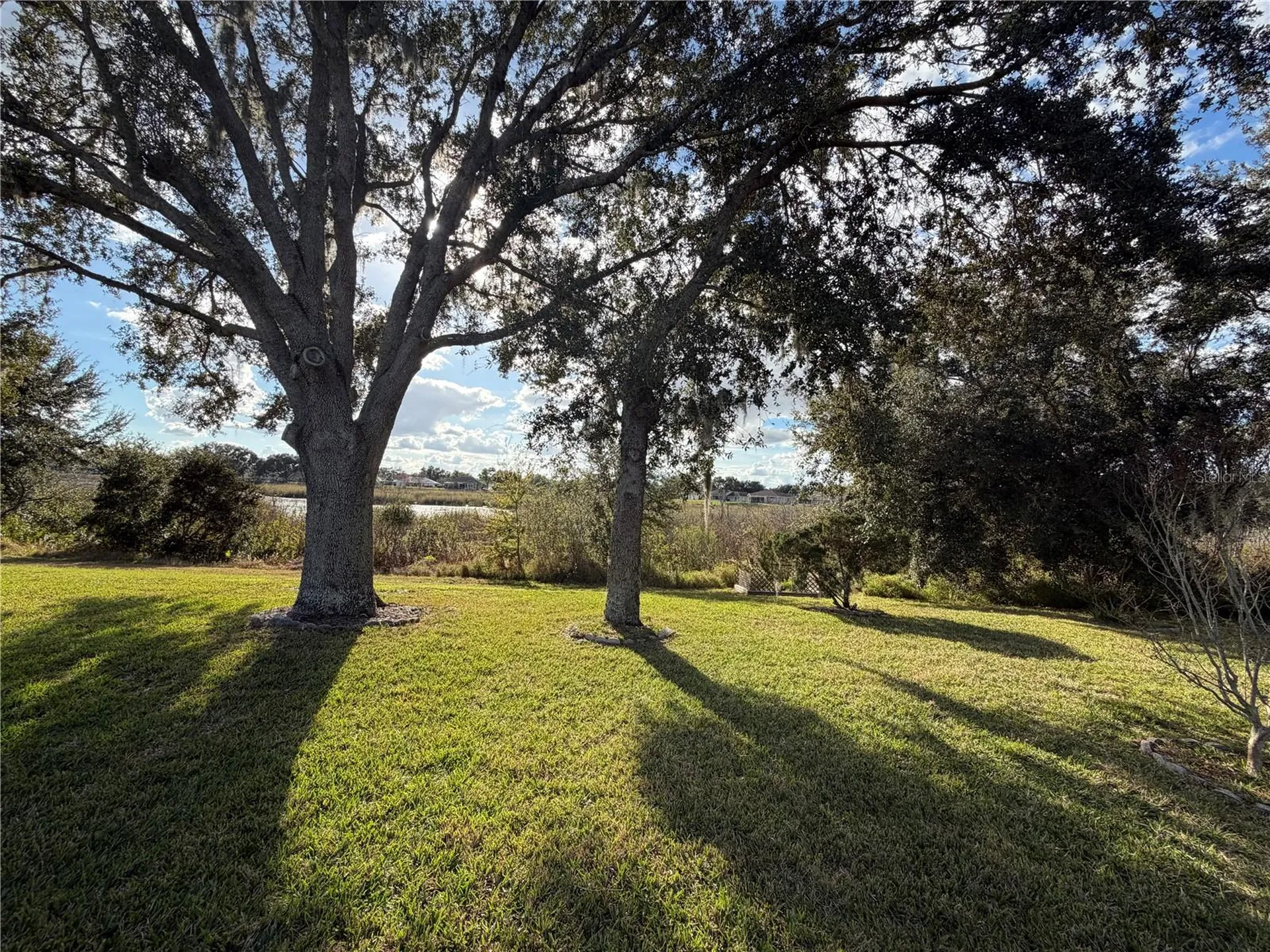 21623 Regency Park Lane Leesburg FL 34748