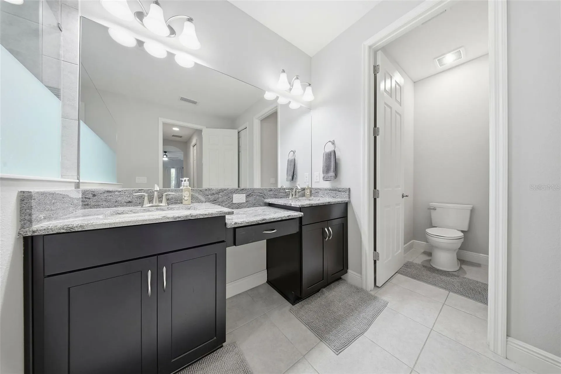 21813 Briske Morning Avenue Land O Lakes FL 34637