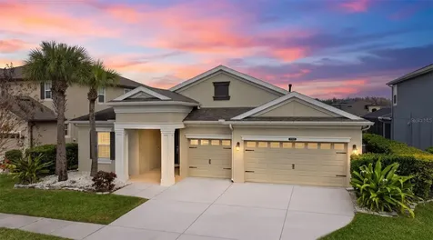 21813 Briske Morning Avenue Land O Lakes FL 34637