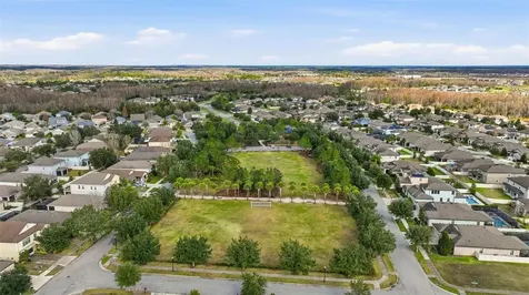 21813 Briske Morning Avenue Land O Lakes FL 34637