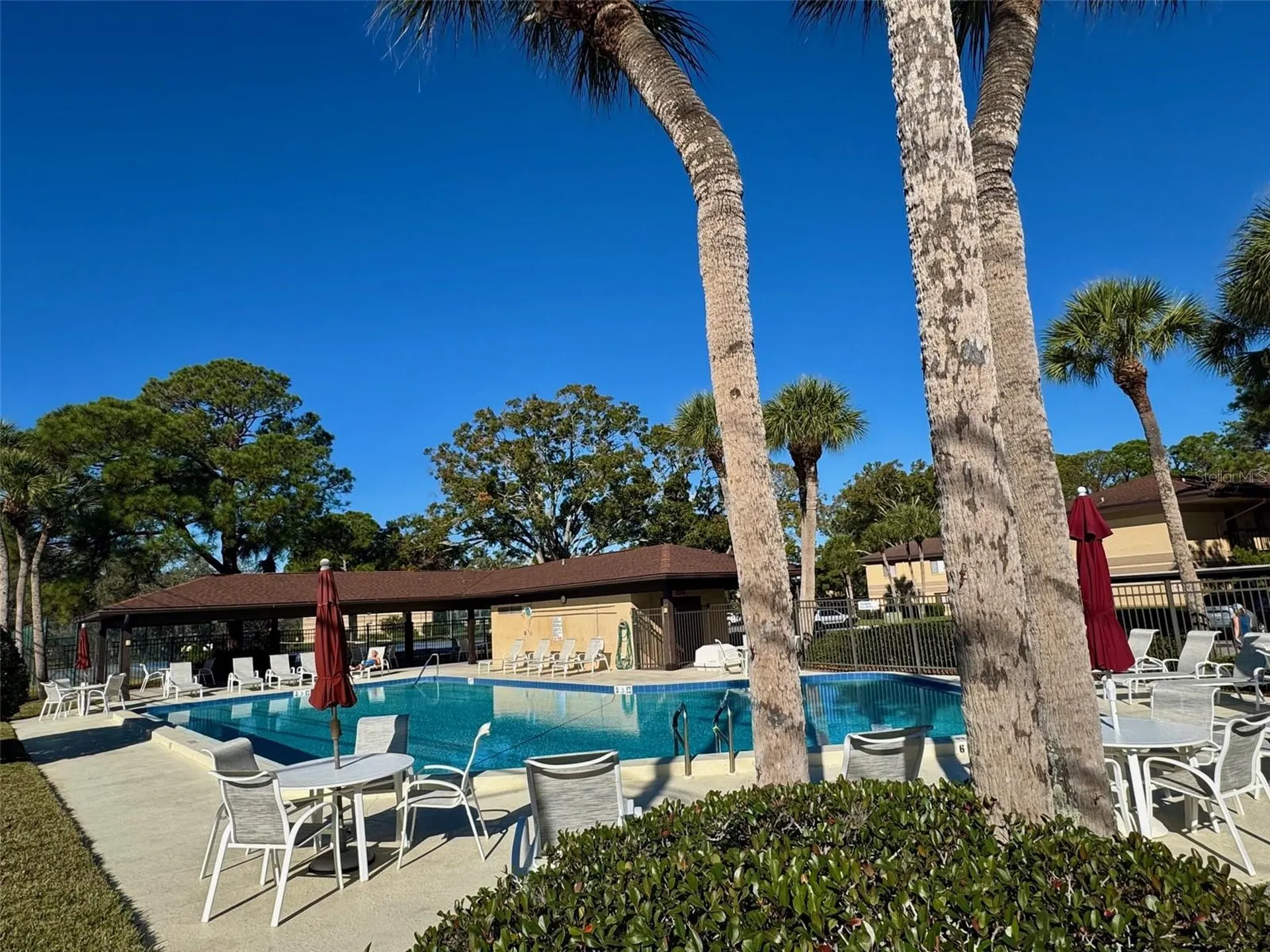 2663 Sabal Springs Circle Clearwater FL 33761