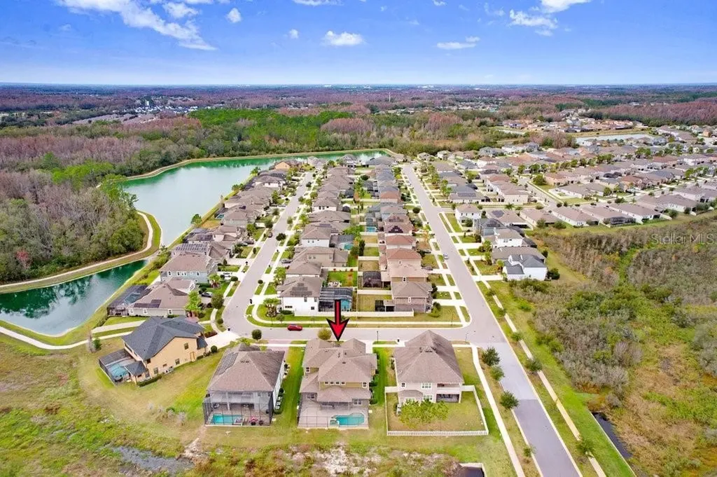 32450 Talimena Loop Wesley Chapel FL 33543