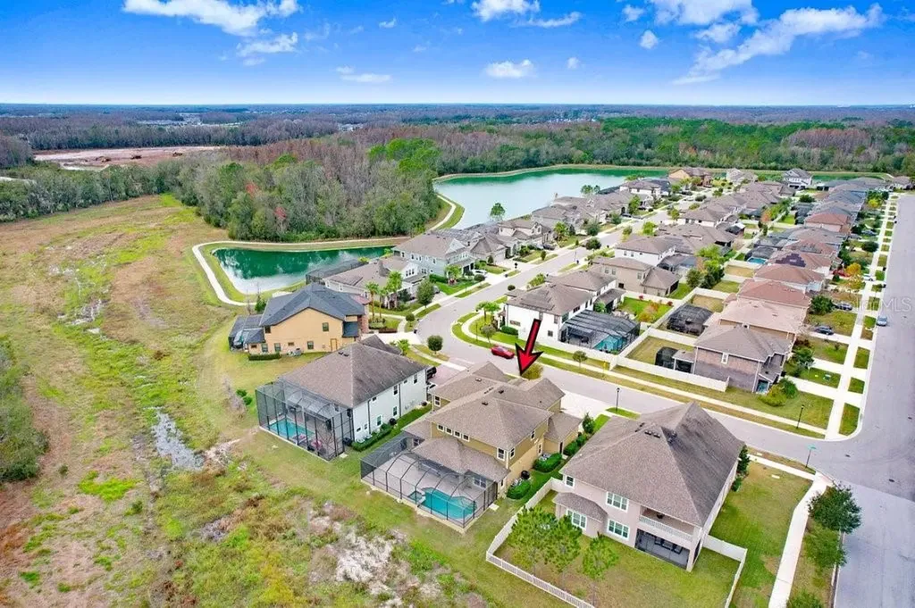 32450 Talimena Loop Wesley Chapel FL 33543