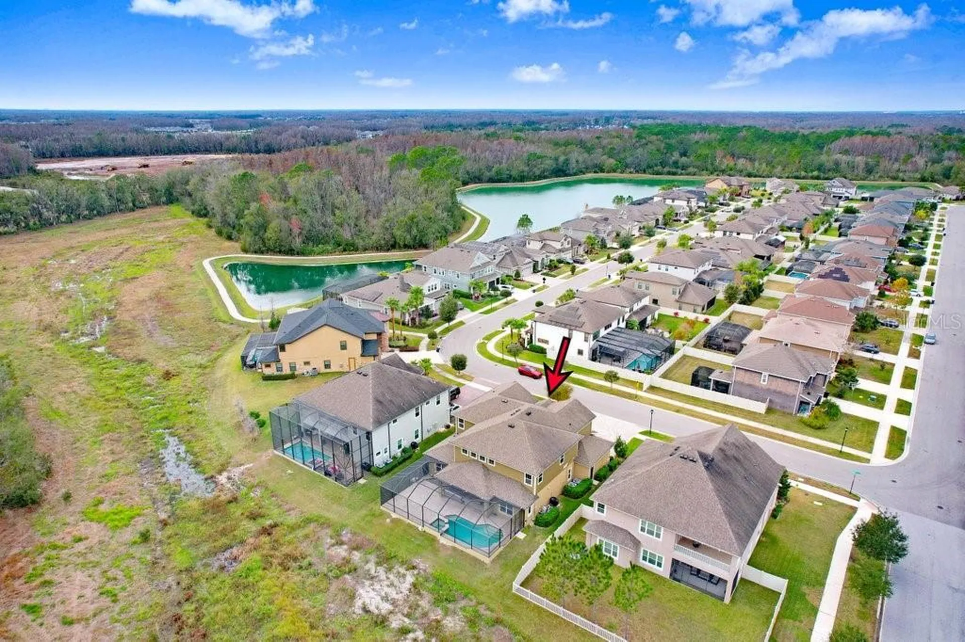32450 Talimena Loop Wesley Chapel FL 33543