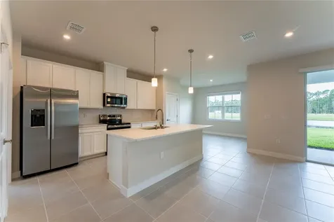 3135 Tiger Palm Way New Smyrna Beach FL 32168