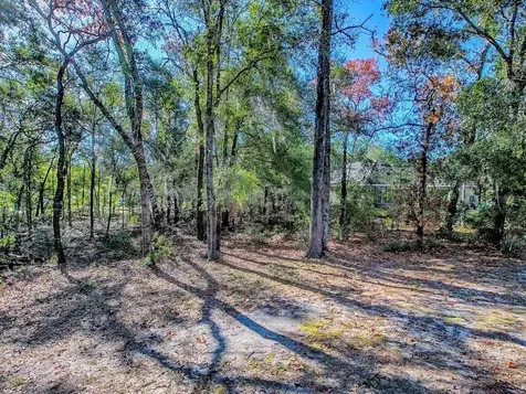 8686 SE 158th Street Summerfield FL 34491