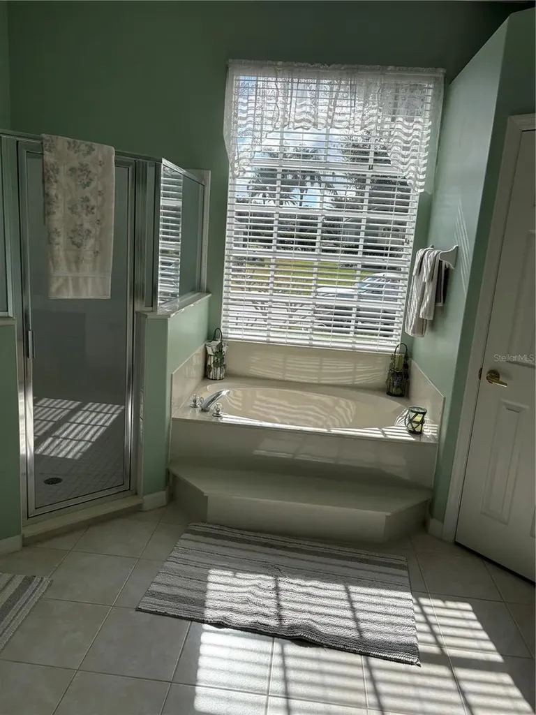 232 Via Mariel East Drive Davenport FL 33896