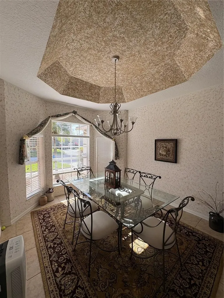 232 Via Mariel East Drive Davenport FL 33896