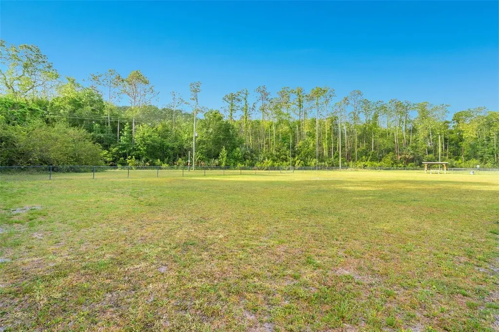 15 Circle Creek Way Ormond Beach FL 32176