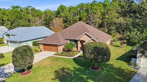 15 Circle Creek Way Ormond Beach FL 32176