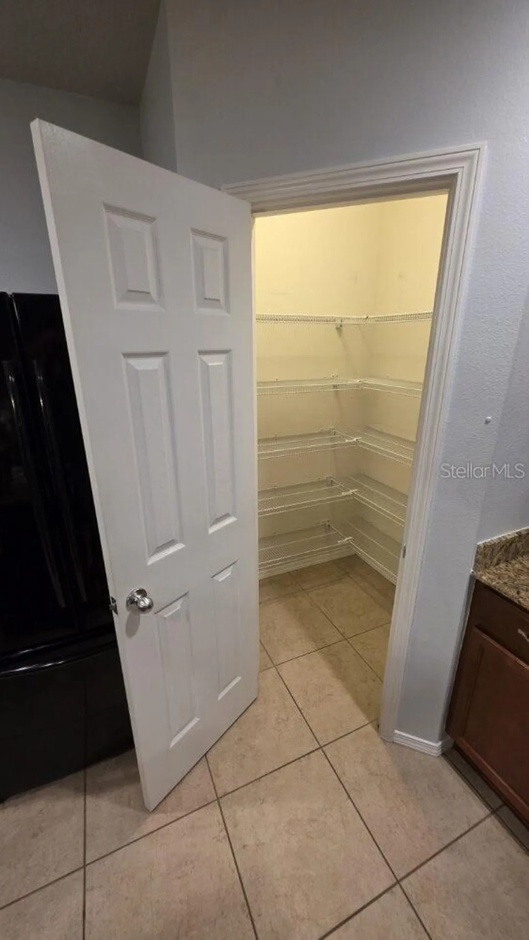 4630 Chatterton Way Riverview FL 33578