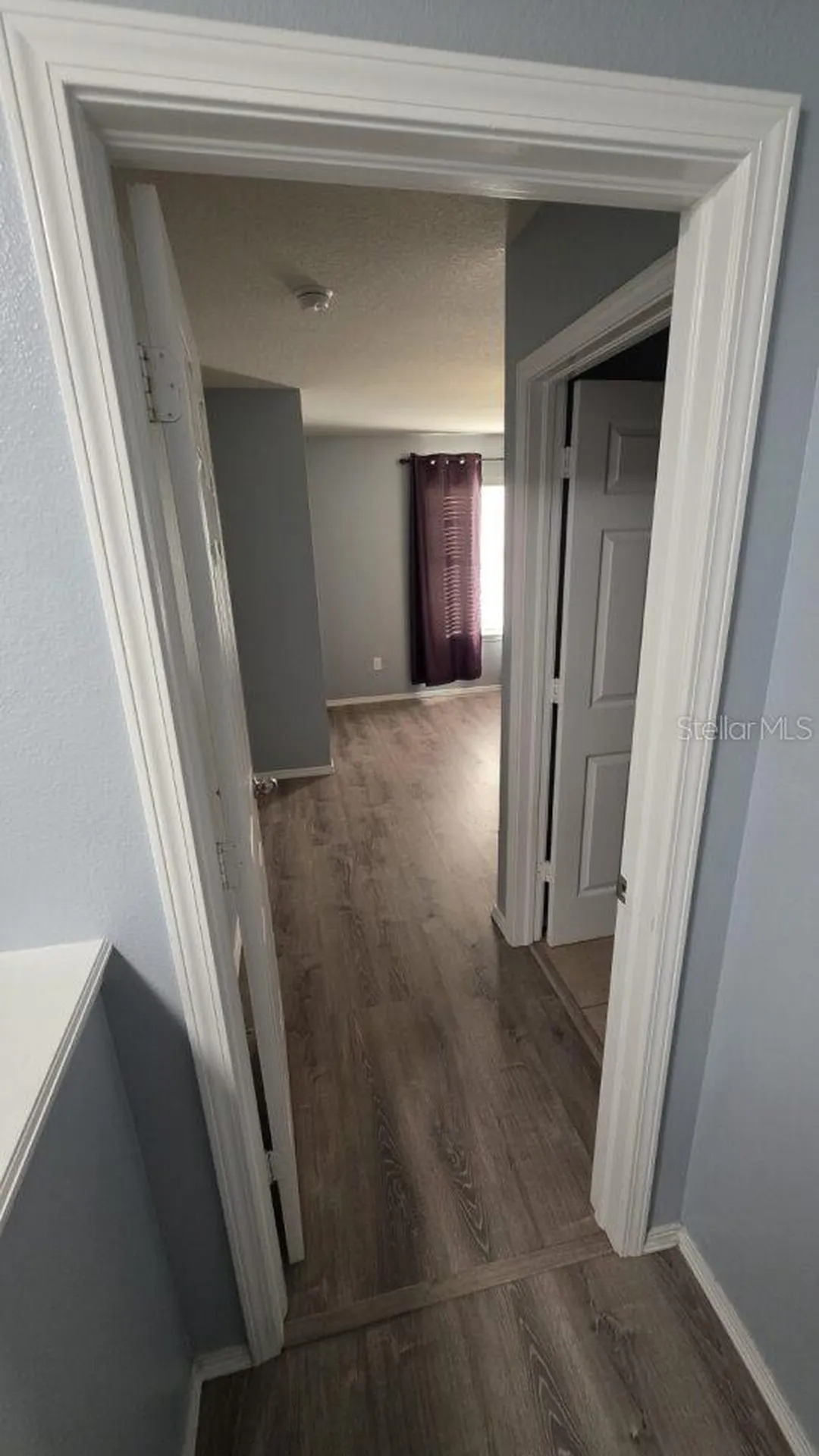 4630 Chatterton Way Riverview FL 33578