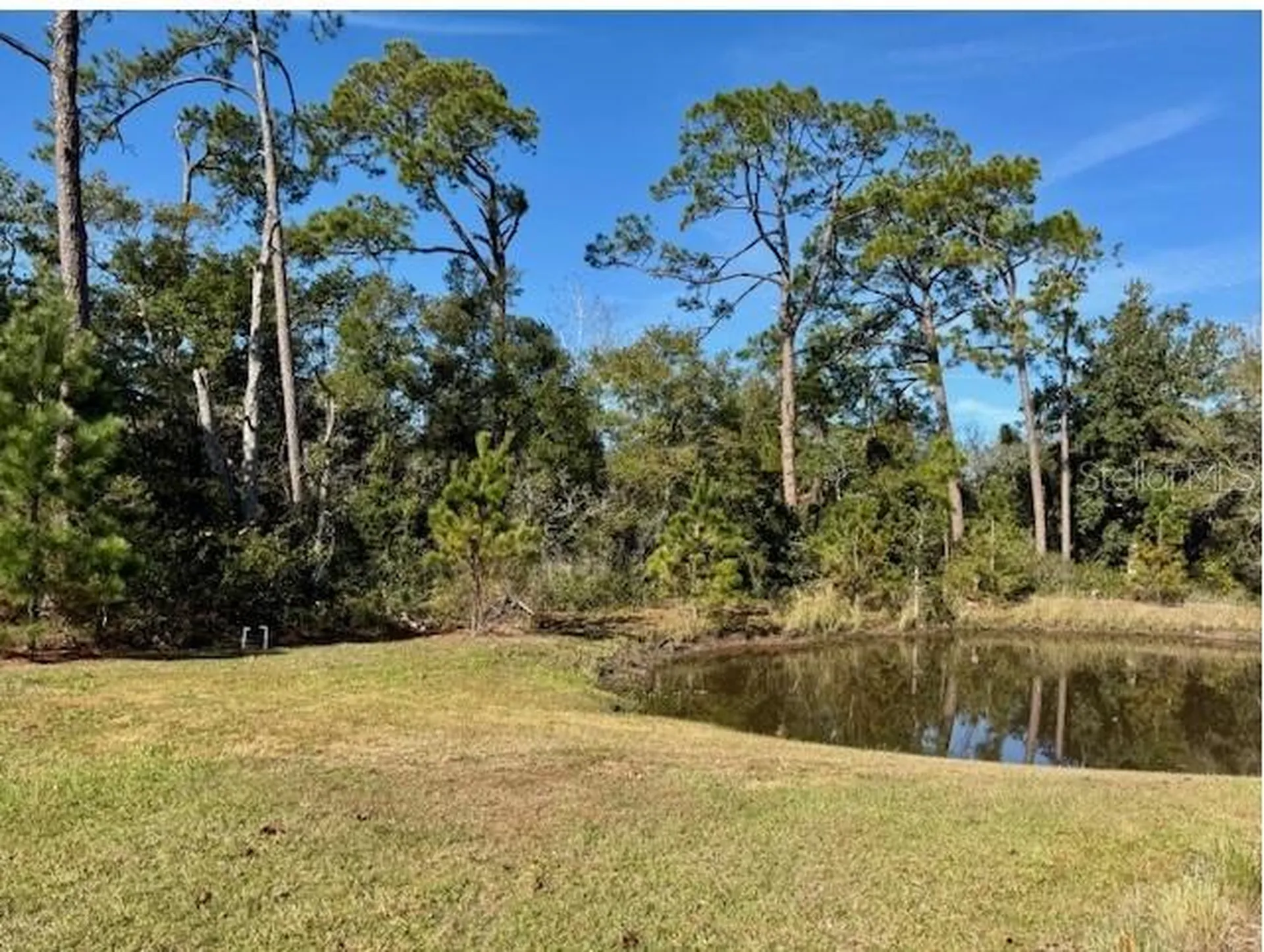 8061 Timberwood Lane Orlando FL 32825