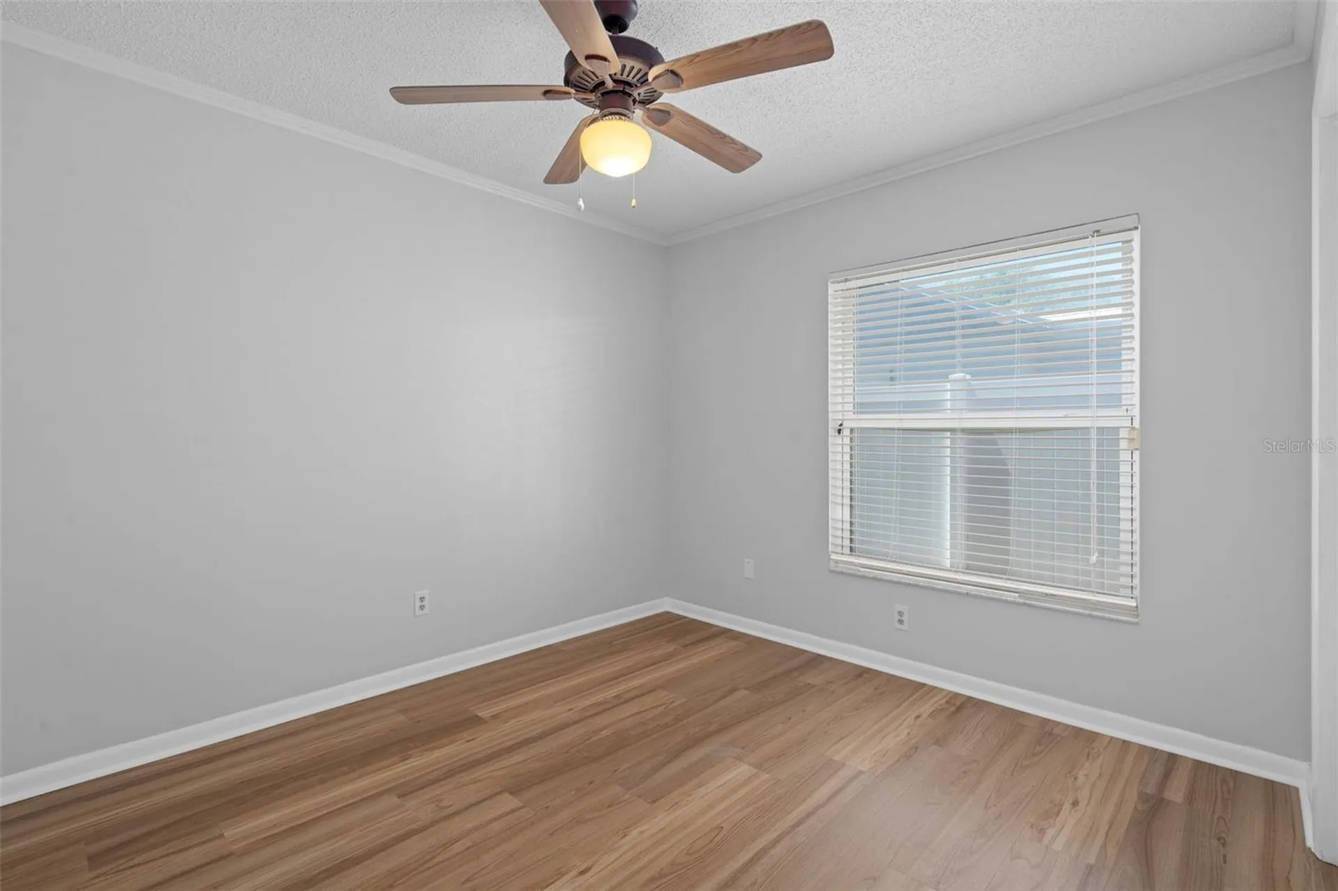 5519 Fulmar Drive Tampa FL 33625