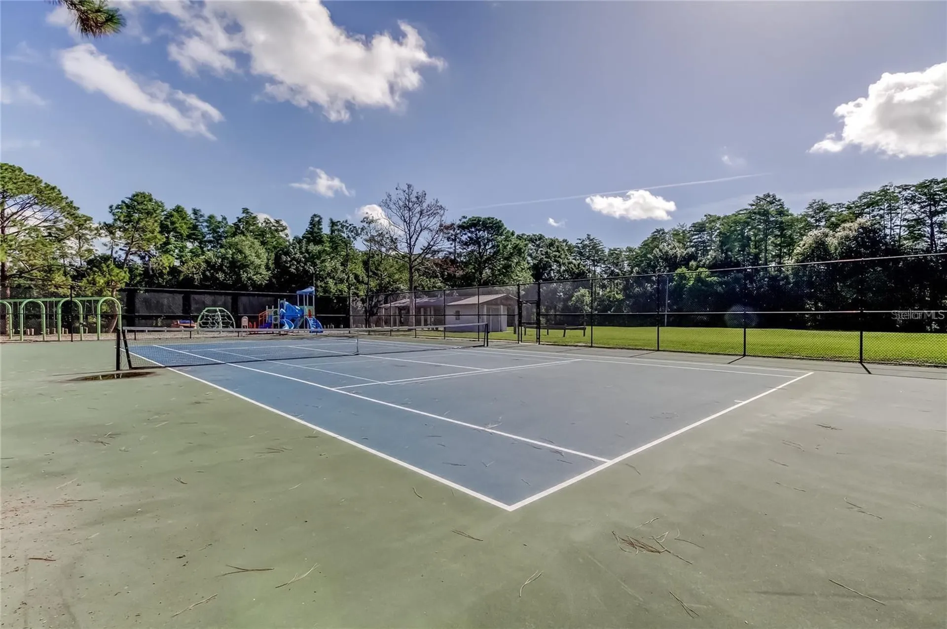 5519 Fulmar Drive Tampa FL 33625