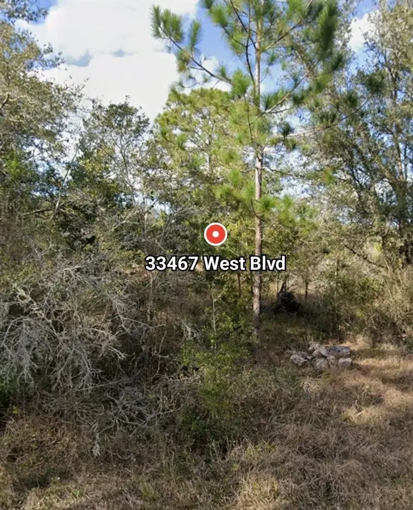 33467 West Boulevard Webster FL 33597