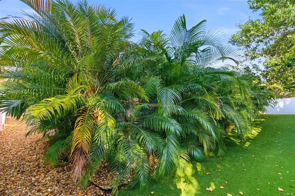 11012 Charmwood Drive Riverview FL 33569