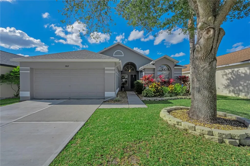 3809 Judson Drive Land O Lakes FL 34638