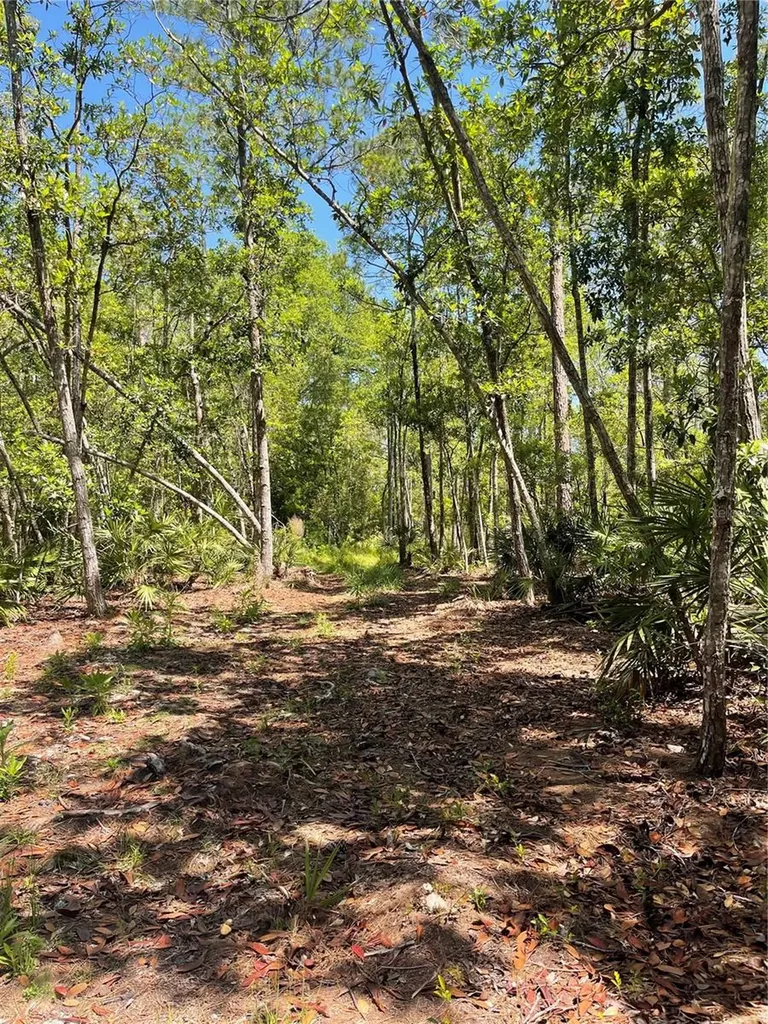3781 Pine Pitch Court Ormond Beach FL 32174
