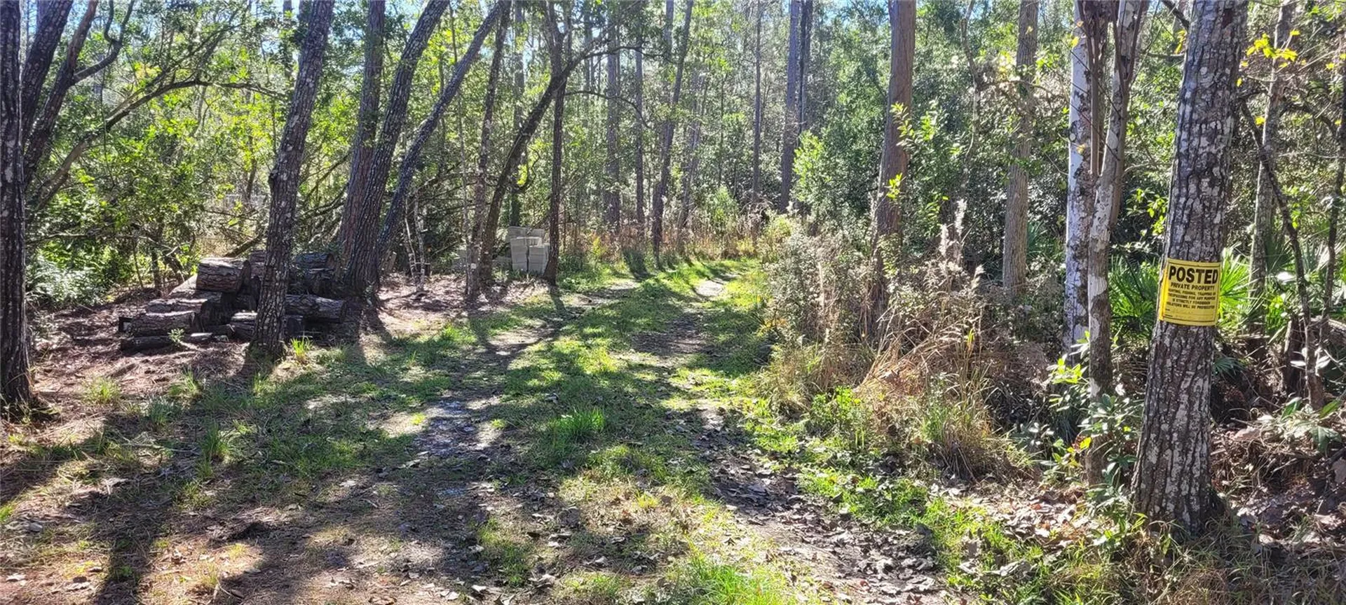 3781 Pine Pitch Court Ormond Beach FL 32174