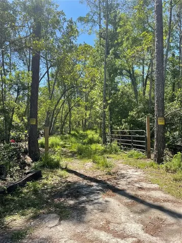 3781 Pine Pitch Court Ormond Beach FL 32174