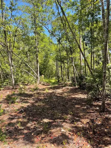 3781 Pine Pitch Court Ormond Beach FL 32174