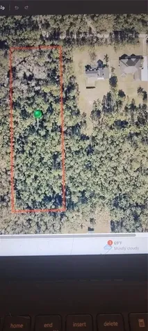 3781 Pine Pitch Court Ormond Beach FL 32174