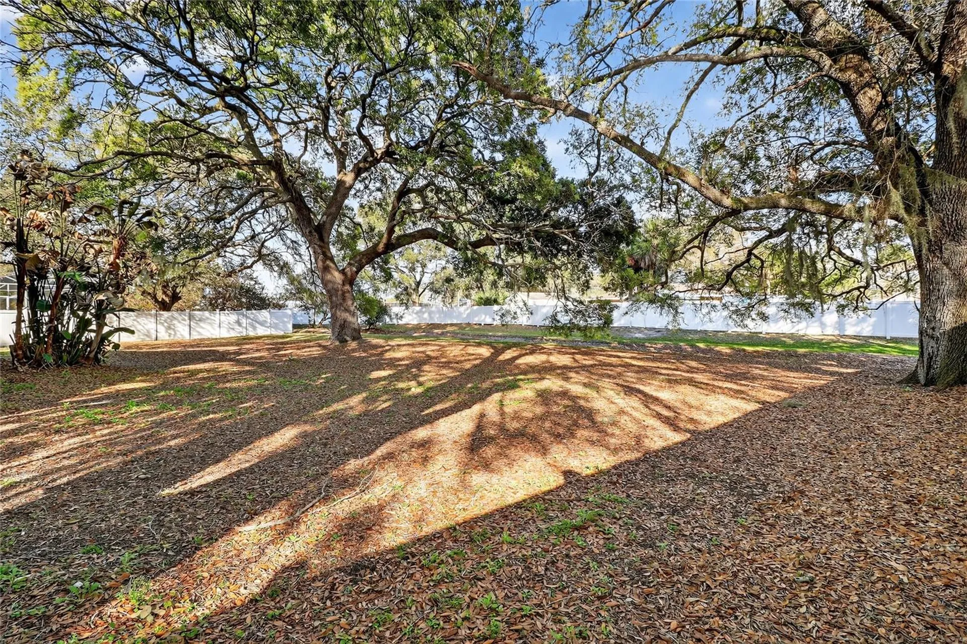 3528 Lismore Drive Lakeland FL 33803